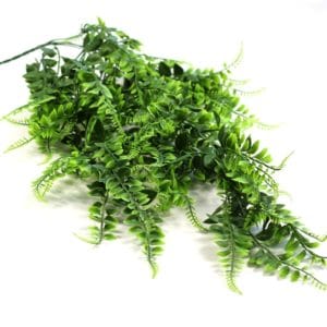 Planta Colgante Árbol de Curry 80cm