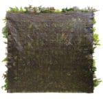 Backing jardín vertical artificial Indiana