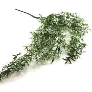 Planta Colgante Blomelia Blanca 80cm