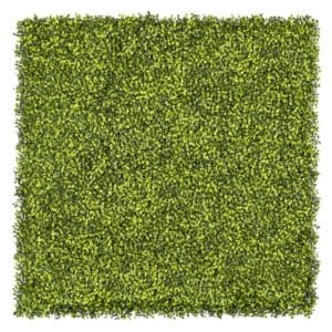 Jardín vertical Boj Double Green