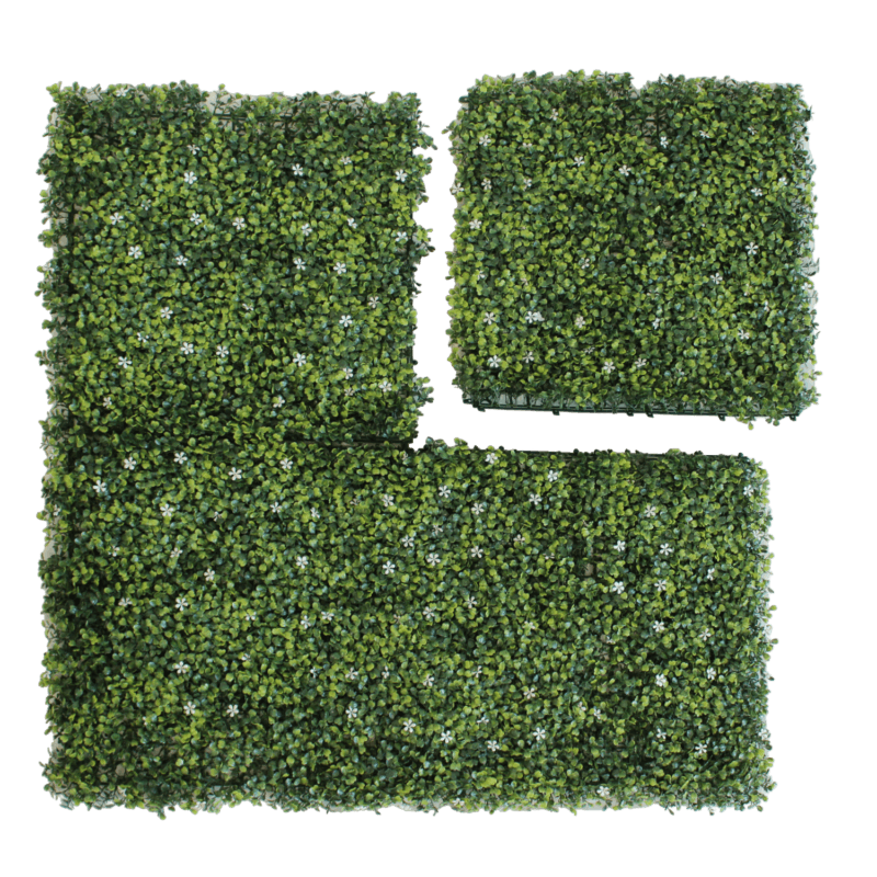 Boj White flower placas
