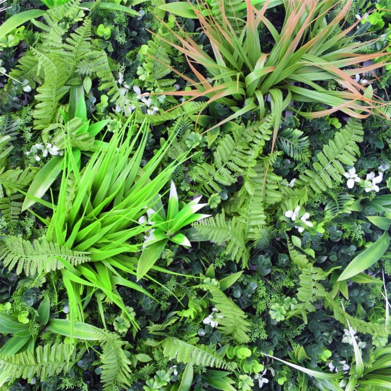 Jardín vertical artificial Botanic