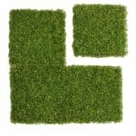 Celery leaf Hoja de Apio placas