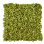 Deluxe moss