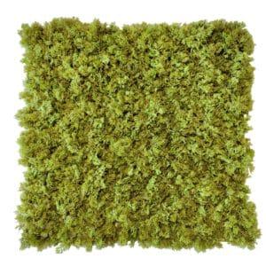 Deluxe moss
