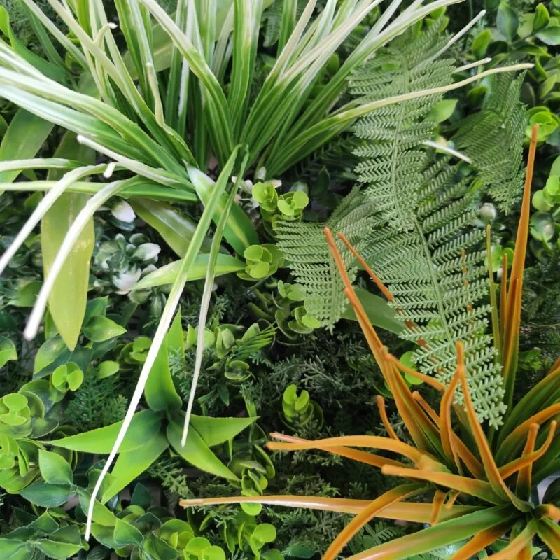 Feuilles détaillées d'un livre botanique