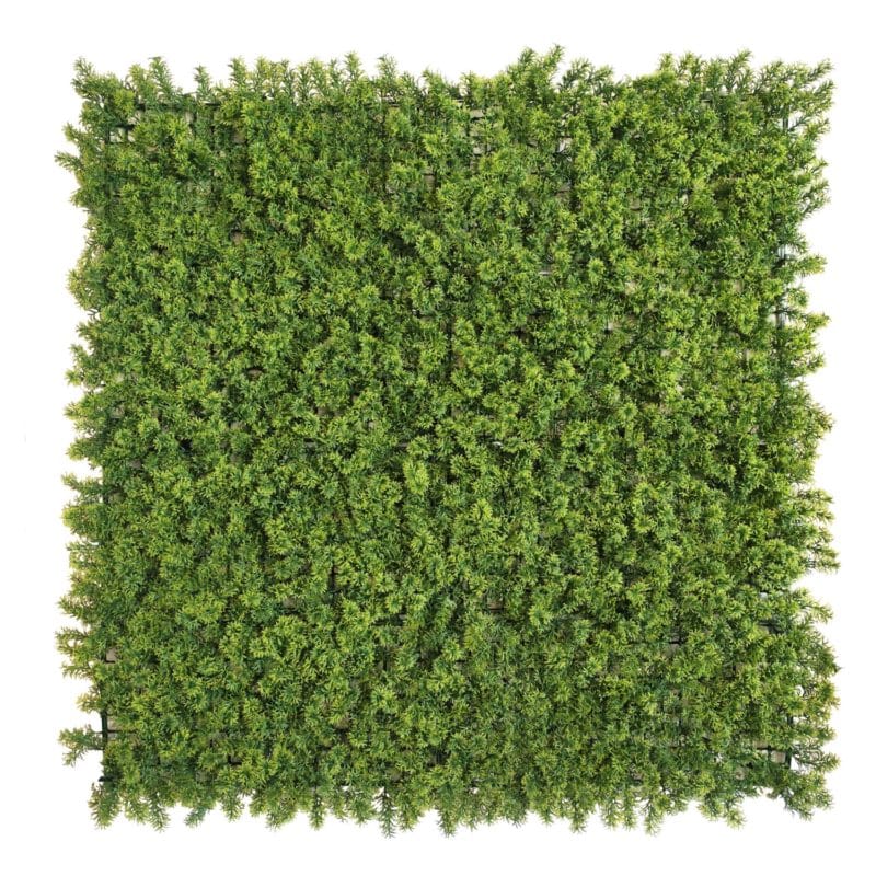 Gold Moss