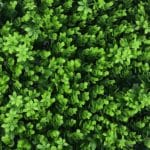 Jardin vertical artificiel Greenfield