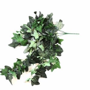 Planta Colgante Hiedra 80cm