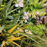 Detalles jardín vertical Indiana