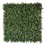 Künstlicher Eukalyptusgarten