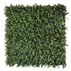 Jardín Artificial Eucalyptus