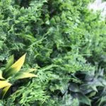 Jardín vertical artificial Secret garden en detalle