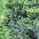 Jardín Vertical Artificial Tropic Fern en detalle