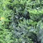 Jardín Vertical Artificial Tropic Fern en detalle