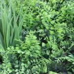 Jardín vertical Artificial Tropic Fern detalles