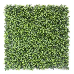 Jardín Vertical Ficus