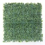 Jardín Vertical Ficus Backing