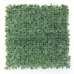 Jardín Vertical Ficus Backing