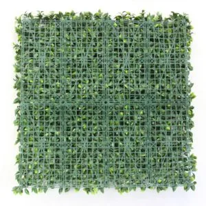 Vertikaler Garten Ficus-Rückwand