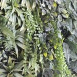 Jardín Vertical Tropical