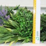 Künstlicher vertikaler Garten Malaga – Abmessungen