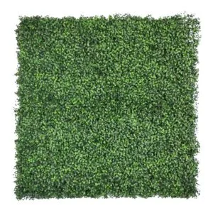 Vertical Garden Boxwood Light Green