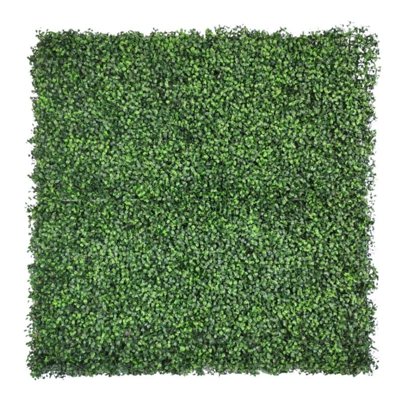 Jardín Vertical Boj Light Green