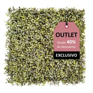 liquidation de buis de luxe