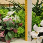 Medidas jardín vertical Indiana