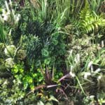 Artificial Floral Vertical Garden in Detail
