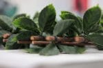 Dettaglio verde della recinzione 1