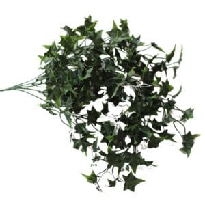 Planta Colgante Hiedra Sagitifolia Oscura 80cm