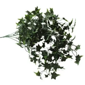 Planta Colgante Hiedra Sagitifolia Oscura 80cm