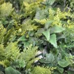 Jardín vertical Artificial Green Light en detalle