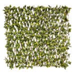 Light Green Fens Privacy Fence