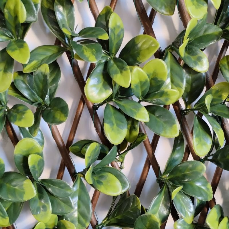 Valla de ocultación verde clara en detalle