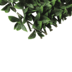 Angolo della recinzione verde