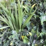 Green Garden artificial vertical garden in detail