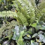 Detalles jardín vertical artificial Green Garden