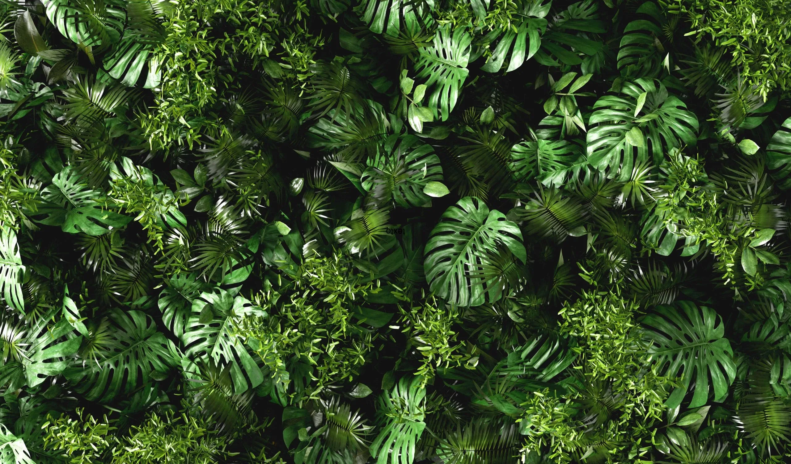 Jardín Vertical Artificial de buena calidad