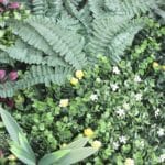 Jardín Vertical Artificial Color Garden