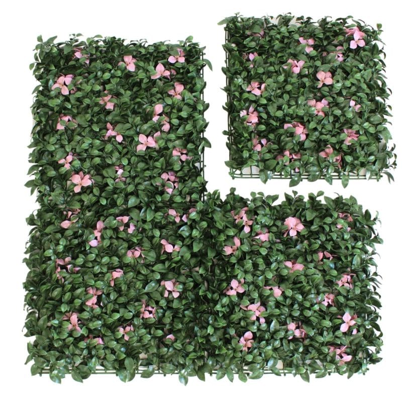 Distribución de placas jardín vertical ficus rosa