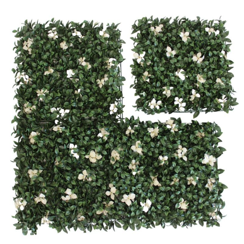 Jardín Vertical Ficus Blanco placas