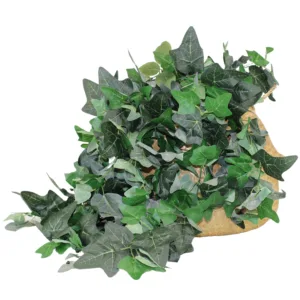 Planta Colgante Hiedra 80cm. PACK DE 5 UNIDADES