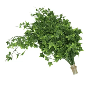 Planta Colgante Hiedra Sagitifolia clara 80cm. PACK DE 5 UNIDADES