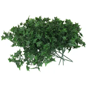 Planta Colgante Hiedra Sagitifolia Oscura 80cm. PACK DE 5 UNIDADES