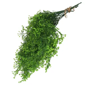 Planta Colgante Perla de Agua 80cm. PACK DE 5 UNIDADES