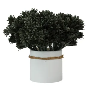 Branche Roseta foncée. PAQUET DE 5 UNITÉS.