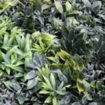 Jardín Vertical Sun Light Garden